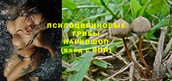 марки lsd Ростов
