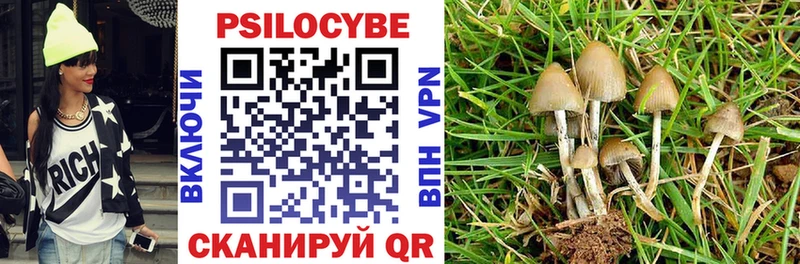 Псилоцибиновые грибы мицелий  Жирновск 