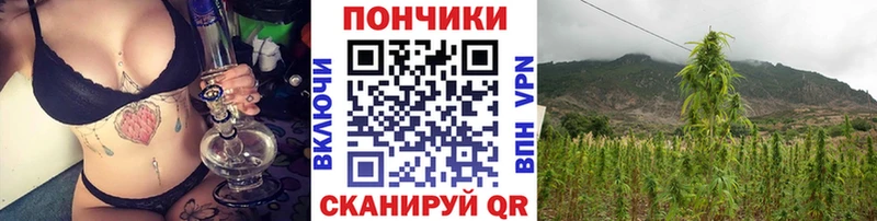 Бошки Шишки тримм Жирновск